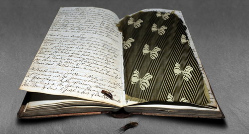 M R James The Diary of Mr Poynter